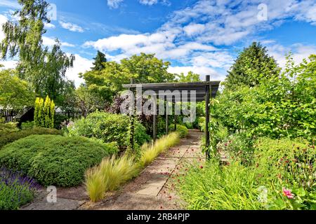 Inverness Botanic Gardens Scotland wooden pergola in the garden  with grasses and espaliered apple trees Stock Photo