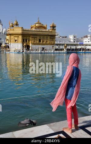 Tempio d'oro di amristar. punjab. india Stock Photo