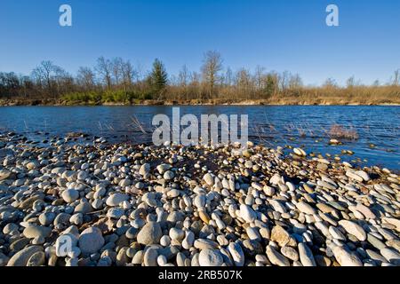 Castelletto di Cuggiono. Ticino park. Lombardy. Italy Stock Photo