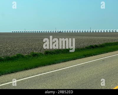 Kremlin, MT USA - May 19, 2023: Many grain bins lined up on along highway 2 beside a road near Kremlin, Montana. Stock Photo