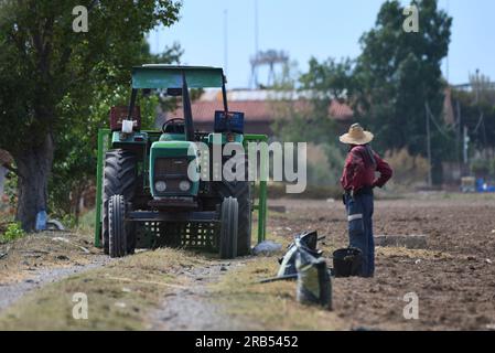 A man waiting in front of a tractor Stock Photo