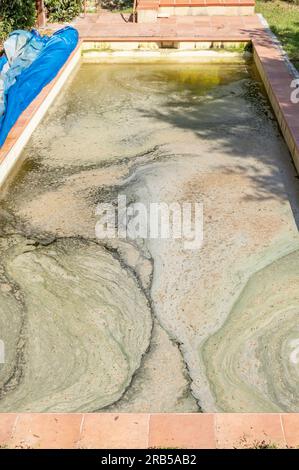 A swimming pool has cloudy white water due to a shock of chlorine, to fight dirt and algae Stock Photo