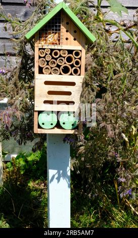 Bee hotel on allotment with several of the holes plugged Stock Photo