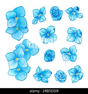 Hand drawn watercolor blue hortense flowers and buds isolated on white background. Can be used for label, banner, post card and other printed products Stock Photo