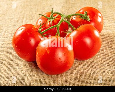 A bunch of large red tomatoes with water drops on a burlap tablecloth. Stock Photo