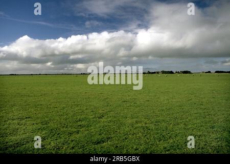 Countryside Near Adelaide. Australia Stock Photo