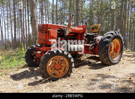 Very old tractor in forest. Red tractor! Stock Photo