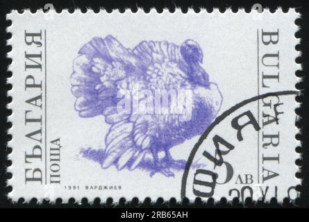 RUSSIA KALININGRAD, 26 MARCH 2019: stamp printed by Bulgaria shows turkey, circa 1991 Stock Photo