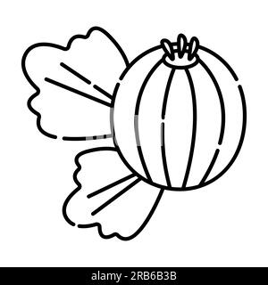 Gooseberry black and white vector line icon Stock Vector