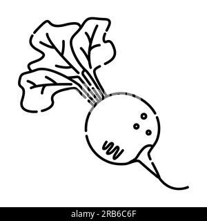 Radish black and white vector line icon Stock Vector