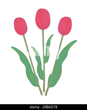 Three red tulips with leaves, colorful illustration Stock Vector