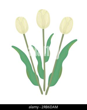 Three yellow tulips with leaves, colorful illustration Stock Vector