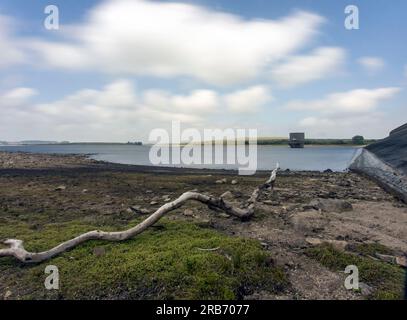 A long exposure of a tree trunk next to the dam wall at Colliford Lake on Bodmin Moor in Cornwall, UK Stock Photo