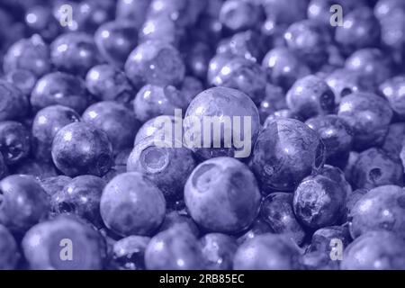 Very Peri Color of the year 2022. texture of blueberry berries close up. Border design. Summer, vitamin, vegan, vegetarian concept. Healthy food. Fres Stock Photo