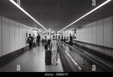 A woman pushes a blue rolling suitcase next to a travelator at departures in Gatwick Airport South Terminal, London, UK. Stock Photo