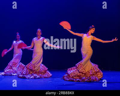 Flamenco show at Teatro Flamenco Sevilla Stock Photo