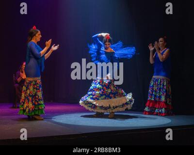 Flamenco show at Teatro Flamenco Sevilla Stock Photo