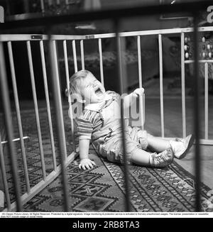 Åke Söderblom, 1910-1965, Swedish actor. Here his son Ole in his playpen in the apartment where he seems to be in a very bad mood and crying uncontrollably. The picture published in a picture report in the magazine Filmjournalen no. 16 in 1949, where you can follow his father Åke's attempt to play with his son and get him in a good mood, but which does not quite succeed. Sweden 1949. Kristoffersson ref AN94-6 Stock Photo