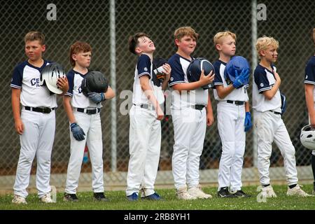 Vintage little league baseball hi-res stock photography and images - Alamy