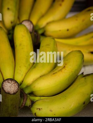 Close up on Mini Bananas in Vietnamese fruit market Stock Photo