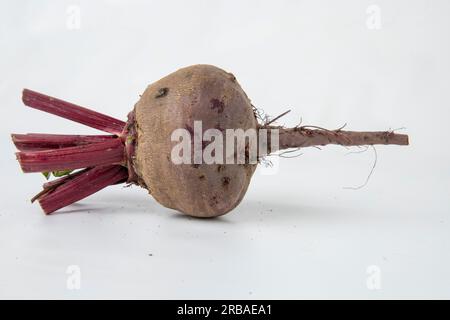 Red beetroot isolated on white. Stock Photo