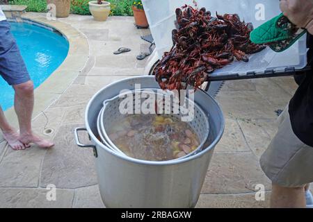 Crayfish and Shrimp Boil Stock Photo