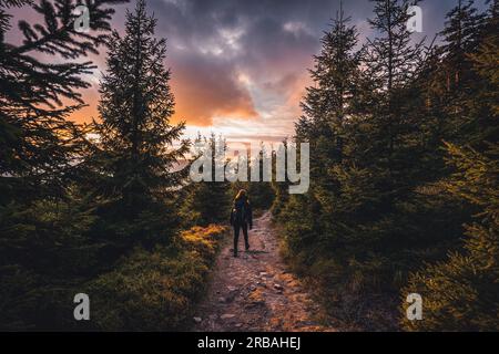 Young woman walking on a gravel path in forest, during sunset in czech mountains. Beautiful sky on spring. Stock Photo