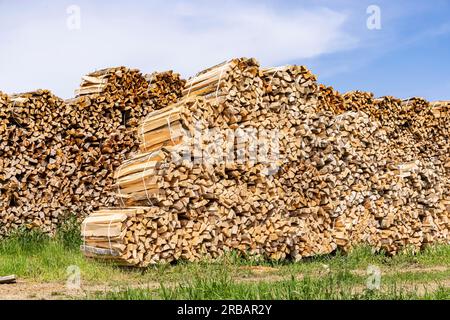 Firewood, storage place for large quantities of logs, Althheim Alb, Baden-Wuerttemberg, Germany Stock Photo