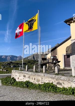 Left Swiss national flag National flag with Swiss cross Right flag Flag of canton Uri with bull's head Head of bull with nose ring, to the right Stock Photo