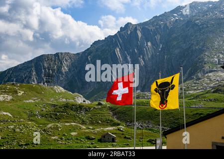 Left Swiss national flag National flag with Swiss cross Right flag Flag of Canton Uri with bull's head Head of bull with nose ring, Gotthard Pass Stock Photo