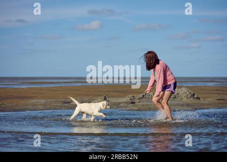 Young woman playing with a her puppy at the seaside splashing in a shallow pool at the edge of the ocean on a hot summer day Stock Photo