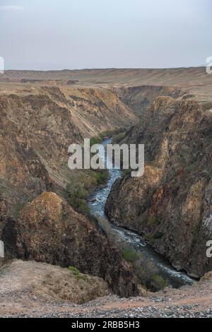 Aerial of the Charyn gorge and river, Tian Shan, Kazakhstan Stock Photo