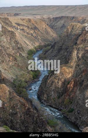 Aerial of the Charyn gorge and river, Tian Shan, Kazakhstan Stock Photo