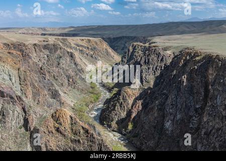 Aerial of the Charyn gorge and river, Tian Shan, Kazakhstan Stock Photo