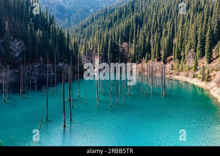 Aerial of the Kaindy lake with its dead trees, Kolsay Lakes National Park, Tian Shan mountains, Kazakhstan Stock Photo