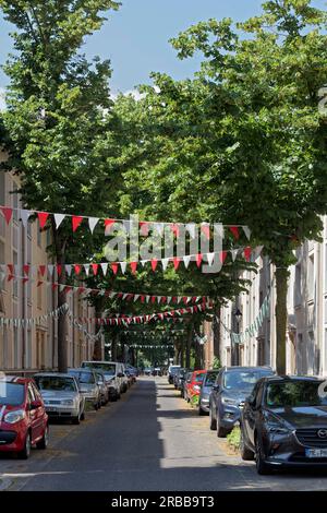 Street with garland of flags, pennant chain, decorated for street party, parked cars, green trees in front of the houses, Duesseldorf, North Stock Photo