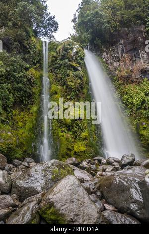 Dawson Falls in Egmont National Park, New Zealand.  Stock Photo