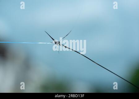 Cracked windshield from the stone thrown. View from inside the car. Stock Photo