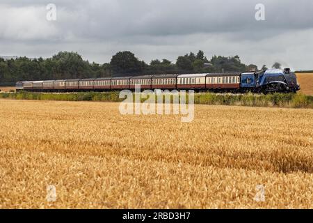 LNER Class A4 4498 (60007) Sir Nigel Gresley steam train pictured travelling through the Devon countryside. Stock Photo