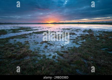 Cloudy sky and sunset over a large wet meadow, eastern Poland Stock Photo
