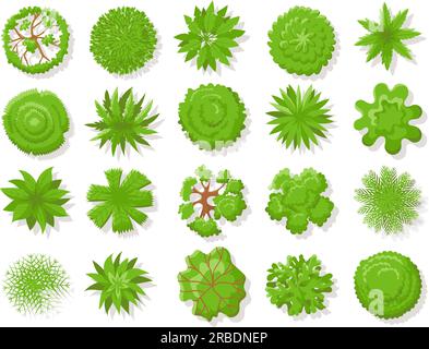 Trees top view. Different plants and trees vector set for architectural ...