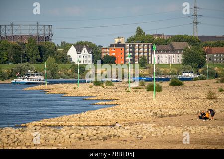 Cargo ship at low water on the Rhine near Duisburg-Homberg, view of Duisburg-Laar, houses on Deichstraße, gasometer of ArcelorMittal Hochfeld GmbH Sta Stock Photo