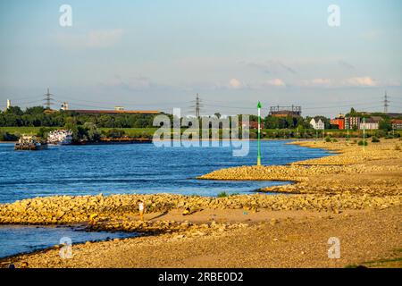 Cargo ship at low water on the Rhine near Duisburg-Homberg, view of Duisburg-Laar, houses on Deichstraße, gasometer of ArcelorMittal Hochfeld GmbH Sta Stock Photo