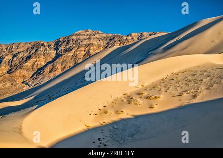 Eureka Dunes in Eureka Valley, Last Chance Range in distance, sunset, Death Valley National Park, California, USA Stock Photo