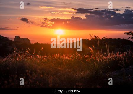 Orange tone over the field in sunset time. Stock Photo