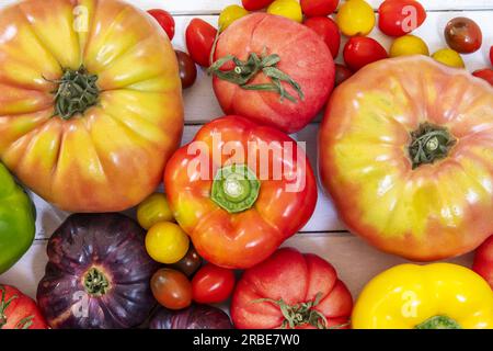 Still life seen from above of all kinds of tomatoes, some peppers on a light painted wooden surface Stock Photo