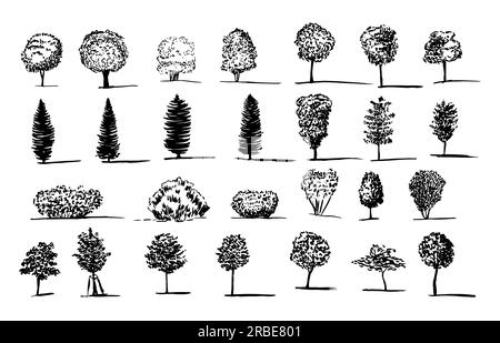 how to draw different types of tree/tree drawing easy - YouTube