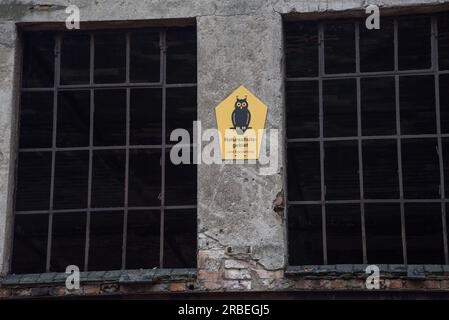 some thousend bats spend winter time hibernating in the cellars of an abandoned brewery in the center of Frankfurt (Oder) in Germany Stock Photo