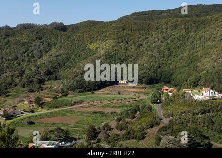 Las Mercedes area, Anaga Rural Park, a mountainous region in the northern part of the island featuring ravines, dense forests, and rare villages Stock Photo