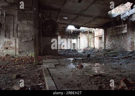 some thousend bats spend winter time hibernating in the cellars of an abandoned brewery in the center of Frankfurt (Oder) in Germany Stock Photo